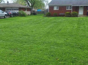 Michael N.'s Lawn Mowing Service service result