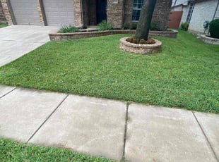 Tory H.'s Yard Cutting service result