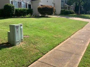 Paul S.'s Lawn Service service result