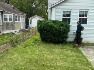 Bush Trimming by Jessica Porter for Hazel R. in Washington, DC