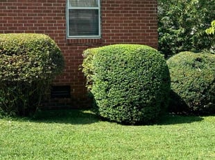 Craig S.'s Lawn Care service result