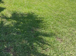 Cleanups by Jackie Harrell for Lillian V. in Daytona Beach, FL