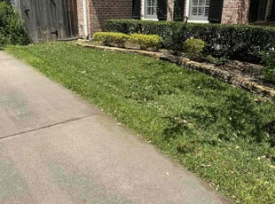 Andrea R.'s Lawn Care service result