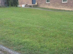 Weeding by Nathan Christiansen for Wyndy M. in Chattanooga, TN