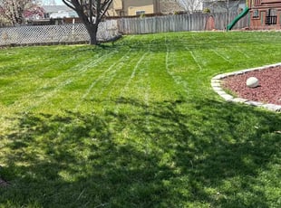 Liz C.'s Lawn Maintenance service result