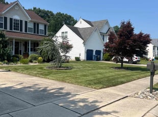 Lesley T.'s Lawn Mowing service result