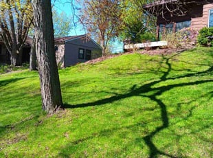 Douglas B.'s Grass Cutting service result