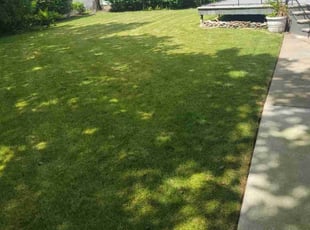 Kadejah L.'s Yard Cutting service result