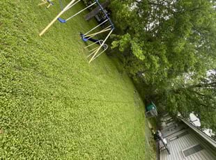 Cleanups by Christian Villaba for Nina B. in Fort Worth, TX