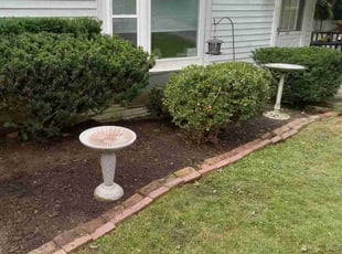 Bush Trimming by Jason Davis for Wendy W. in Pittsburgh, PA