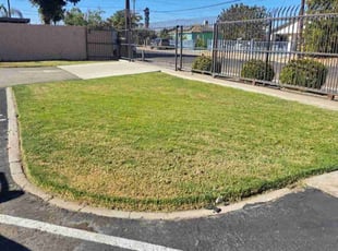 Ben H.'s Lawn Maintenance service result