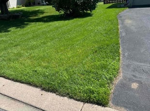 Dennis p.'s Lawn Care service result