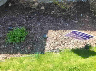 Weeding by Howard Breunig for Neha D. in Sun Prairie, WI