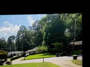 Marie F.'s Lawn Care service result