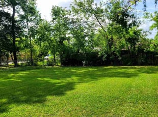 Donnie C.'s Lawn Care service result