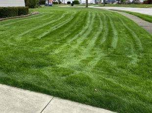 Bri G.'s Lawn Care service result