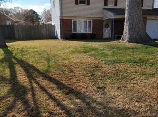 Leaf Removal by Michelle Kramer for Lisa G. in Virginia Beach, VA