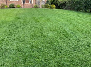 Arnold C.'s Lawn Service service result