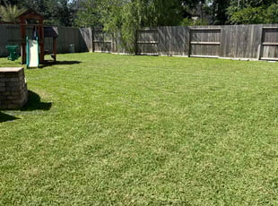 Jed G.'s Lawn Mowing Service service result