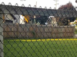 Brian M.'s Lawn Maintenance service result
