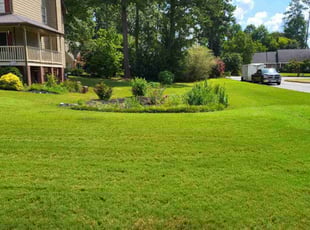 Yulonda A.'s Grass Cutting service result