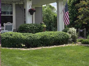 Bush Trimming by Randy Grochowski for Sangeetha K. in Rosemount, MN