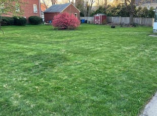 Marcus M.'s Yard Cutting service result