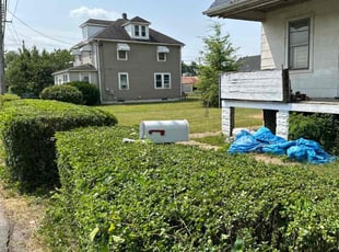 Bush Trimming by Rachel Lewis for Kim P. in Baltimore, MD