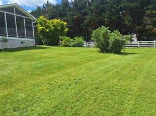 LeRoy A.'s Lawn Care service result