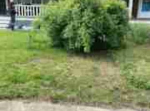 Weeding by Joel Andrews for Yvonne D. in Plymouth, MA