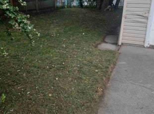 Todd, W.'s Lawn Care service result