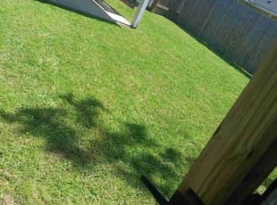 Roberta J.'s Lawn Mowing service result