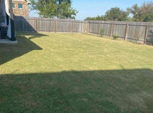 Thomas G.'s Lawn Service service result