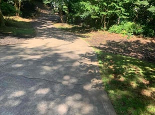 Bush Trimming by Steven Davidson for Steve D. in Anderson, SC