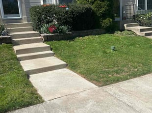 Jarrett F.'s Yard Cutting service result