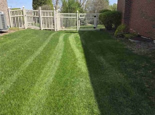 Damon S.'s Lawn Mowing service result