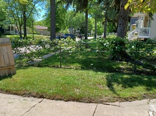 Cleanups by David Gallaway for Tianna J. in Saint Paul, MN