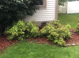 Weeding by Buckeye Touch for John H. in Groveport, OH