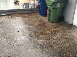 Leaf Removal by Isaiah Harris for Preston B. in Atlanta, GA