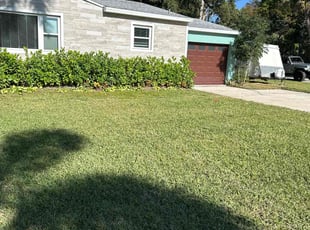 Chris B.'s Lawn Care service result