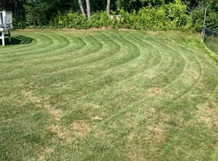 Nicole W.'s Lawn Care service result