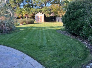 Ryan A.'s Lawn Mowing Service service result