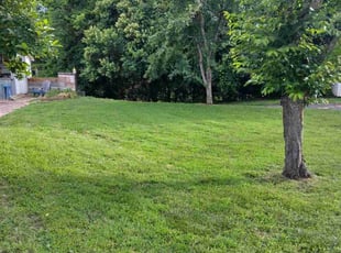 Shirley A.'s Lawn Care service result