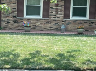 Antoine l.'s Lawn Mowing Service service result