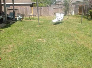 Leaf Removal by Jesus Martinez for Karen M. in Houston, TX