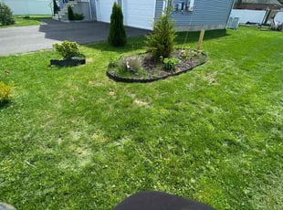 Cheryl S.'s Lawn Care service result