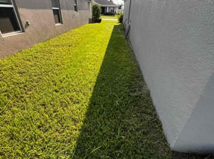 Ronald A.'s Lawn Service service result