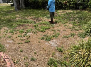 Aeration by Zariya McClary for Selena S. in Tampa, FL