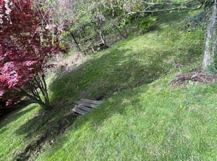 Jay C.'s Lawn Mowing service result