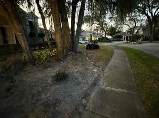 Bush Trimming by Ivan Dilone for Irene R. in Kissimmee, FL